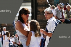 Bezirksfest2017_26