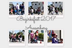 Bezirksfest2017_33