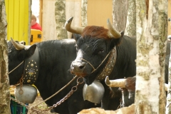 P1010357