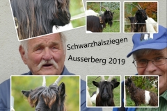 Ausserberg_Schwazhalsziegen