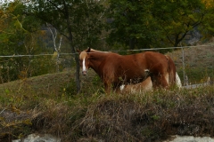 P1160634